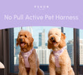 No Pull Dog Harness - MINT PURPLE