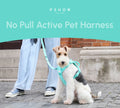 No Pull Harness Mint Green