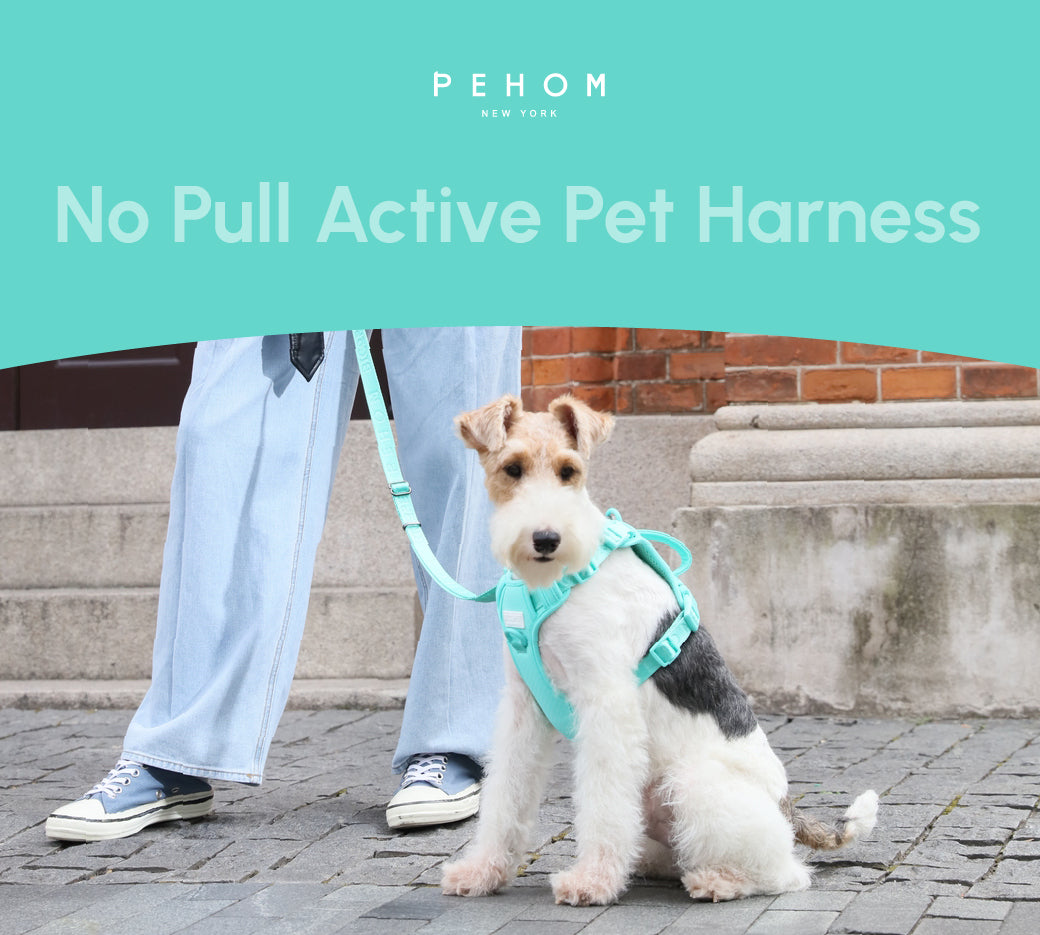 No Pull Harness Mint Green