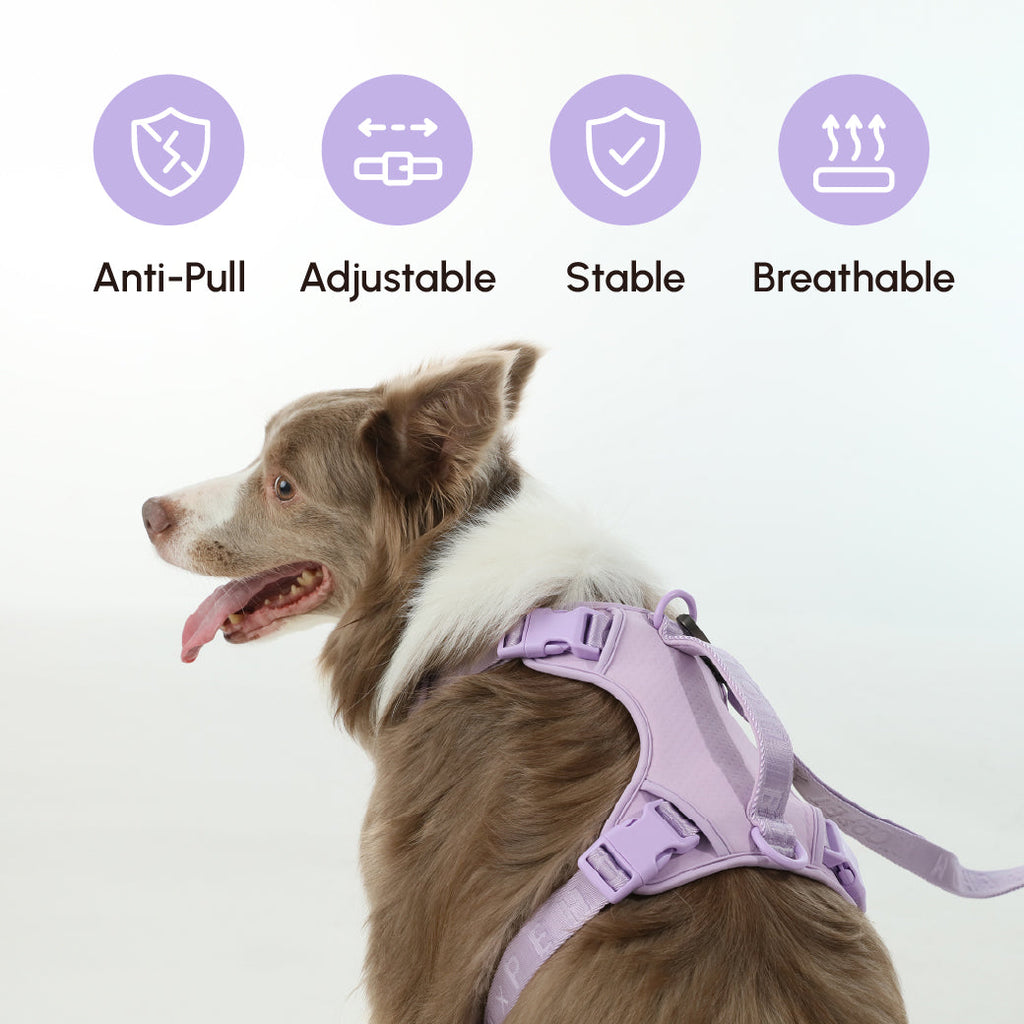 No Pull Dog Harness - MINT PURPLE