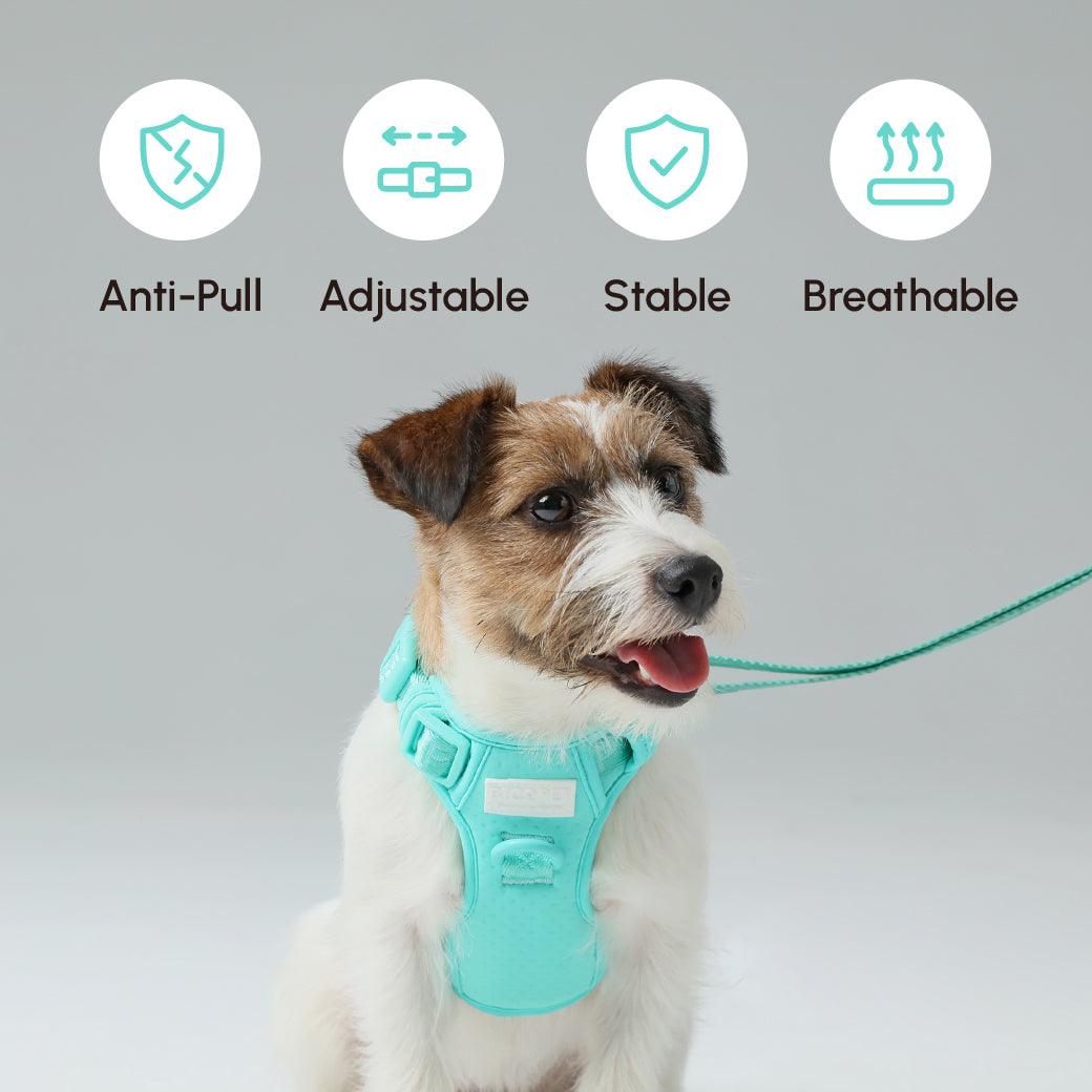 No Pull Harness Mint Green