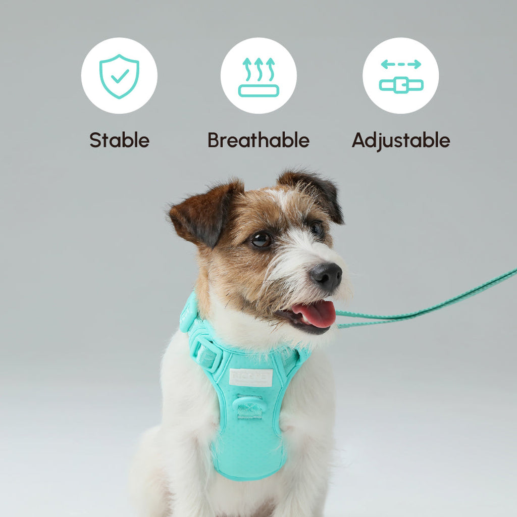 Padded Pet Leash Mint Green