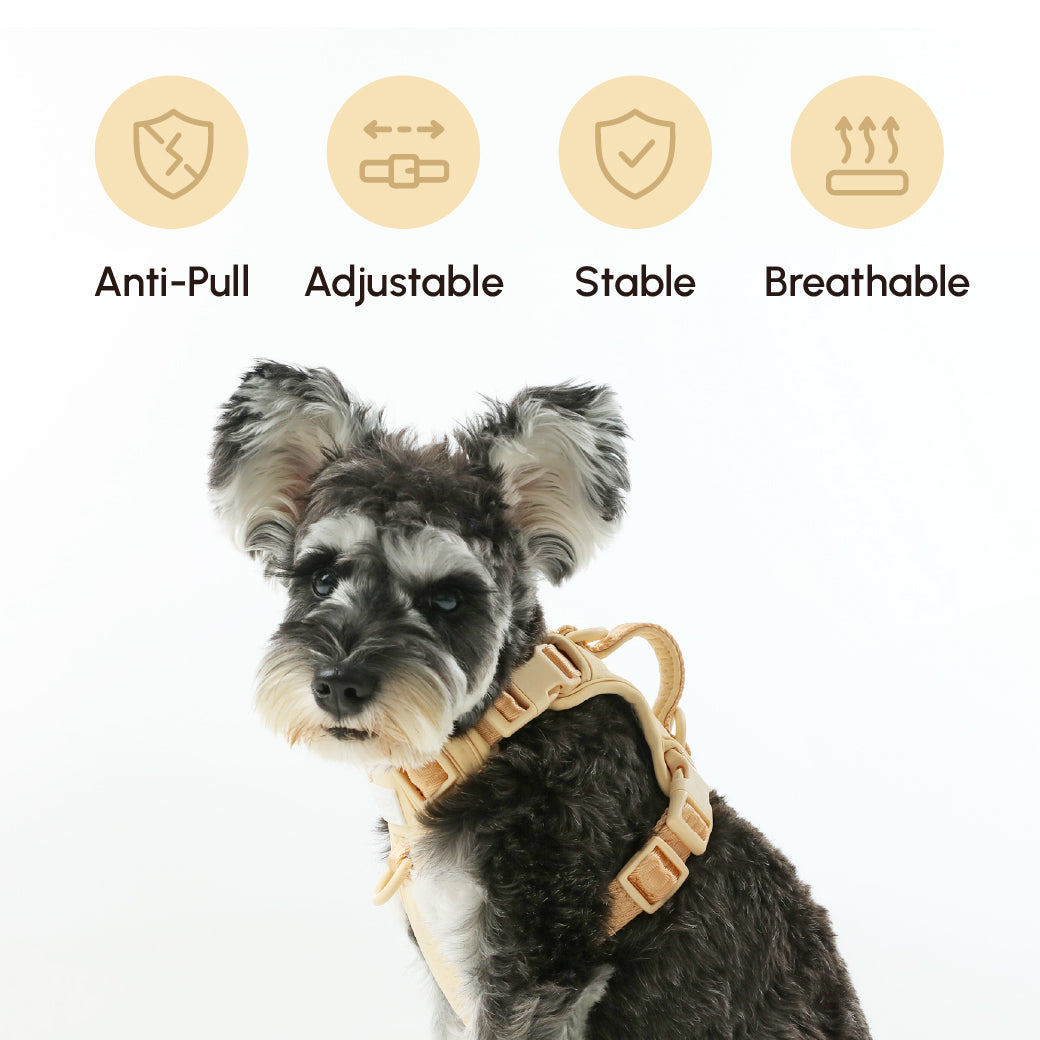 No Pull Dog Harness- APRICOT
