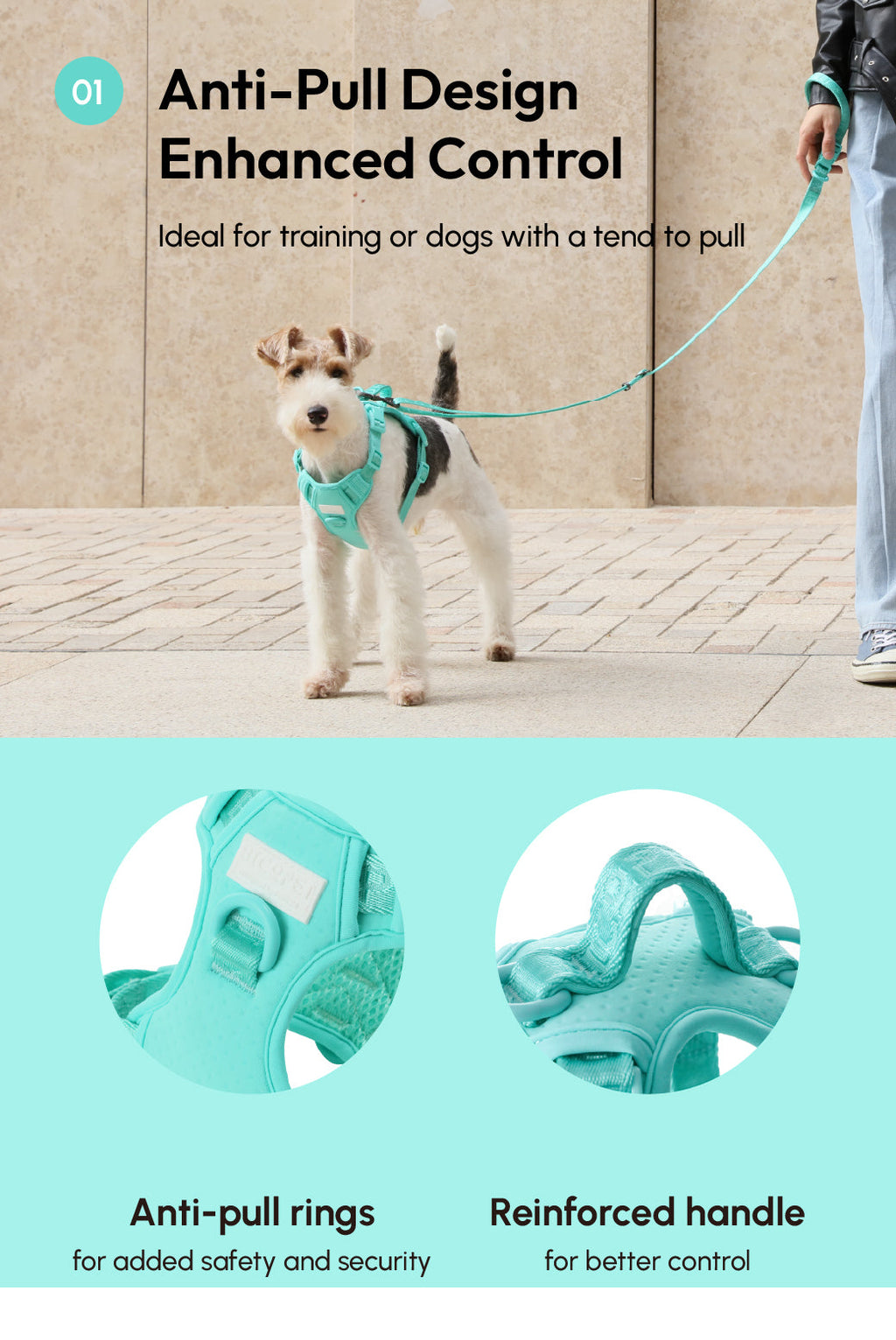 No Pull Harness Mint Green