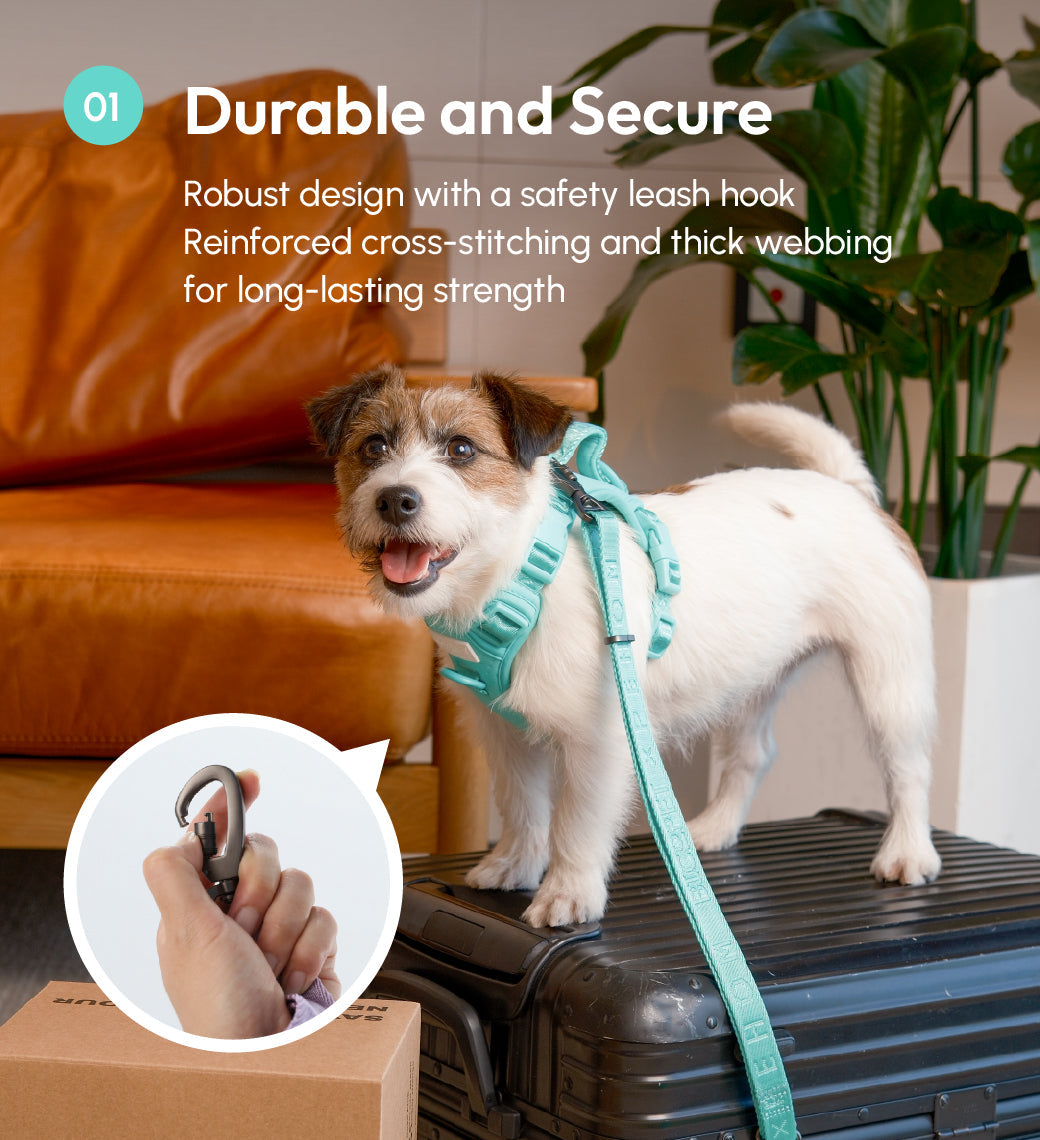 Padded Pet Leash Mint Green