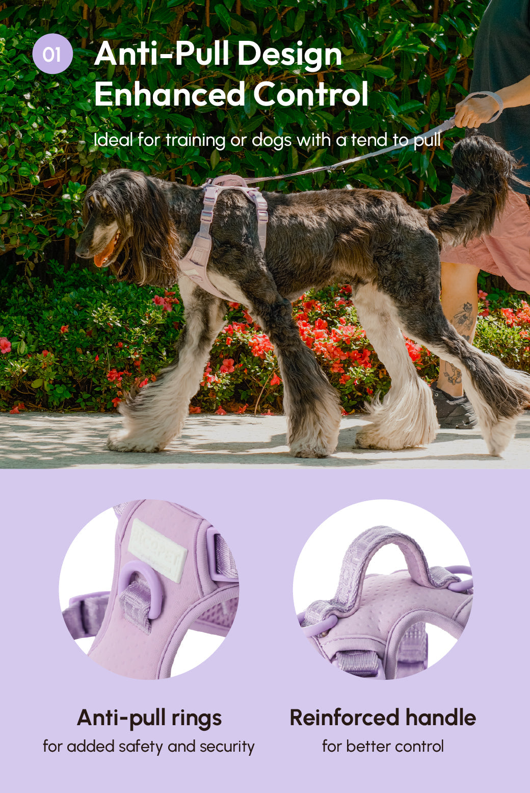No Pull Dog Harness - MINT PURPLE