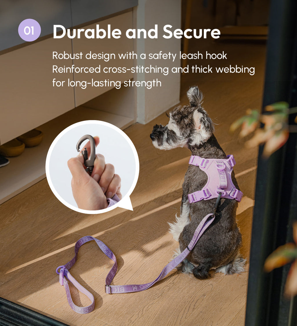 Padded Leash Mint Purple
