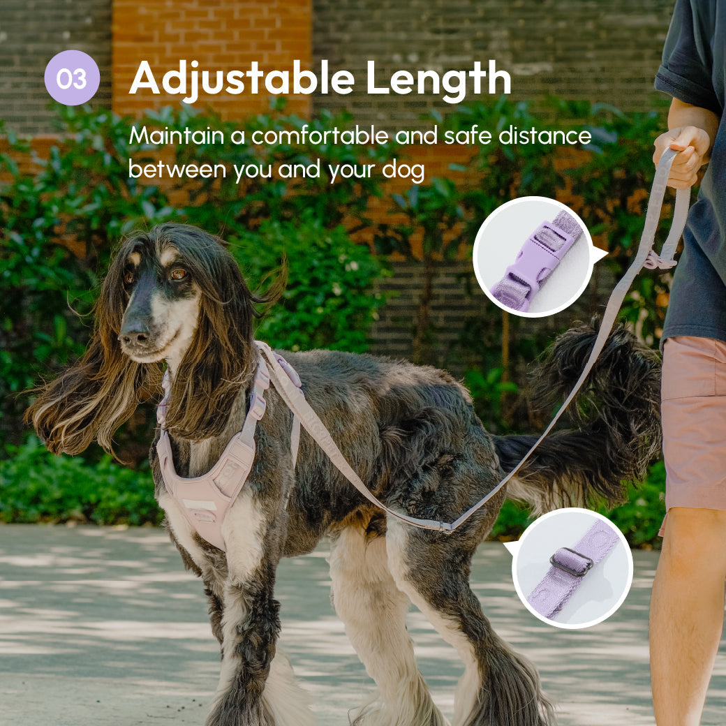 Padded Leash Mint Purple