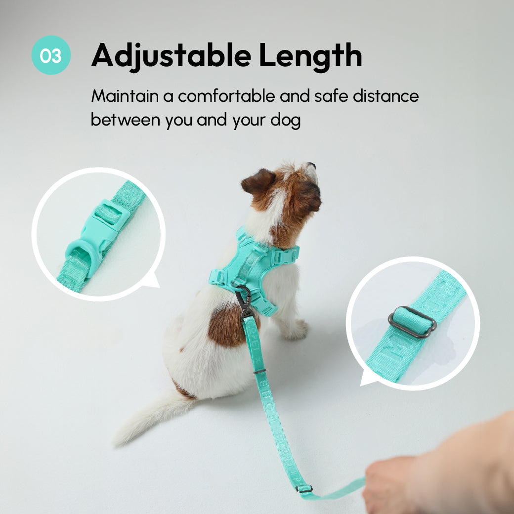 Padded Pet Leash Mint Green