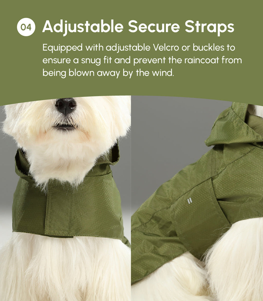 Green Capsule Raincoat