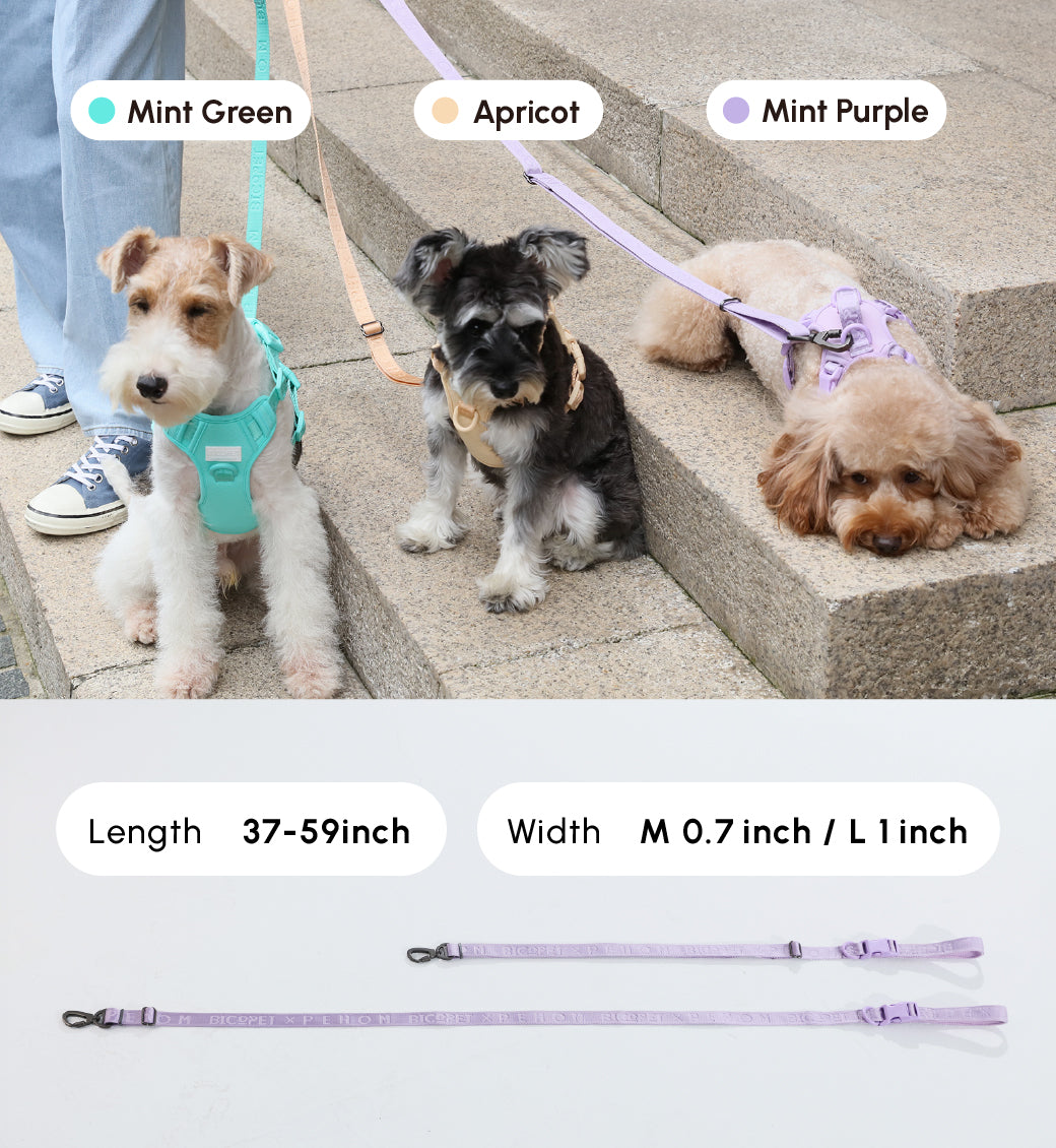 Padded Leash Mint Purple