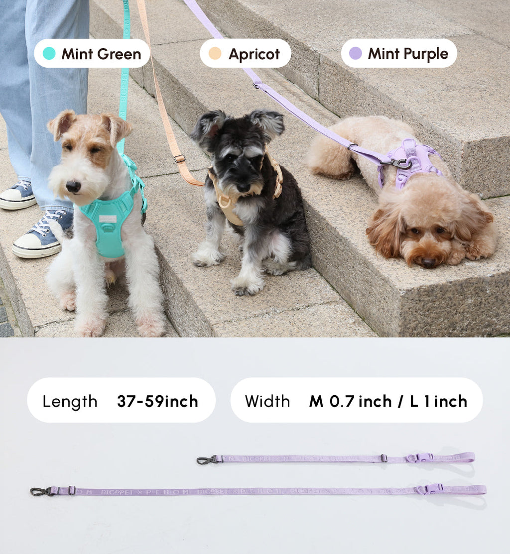Padded Pet Leash Mint Green