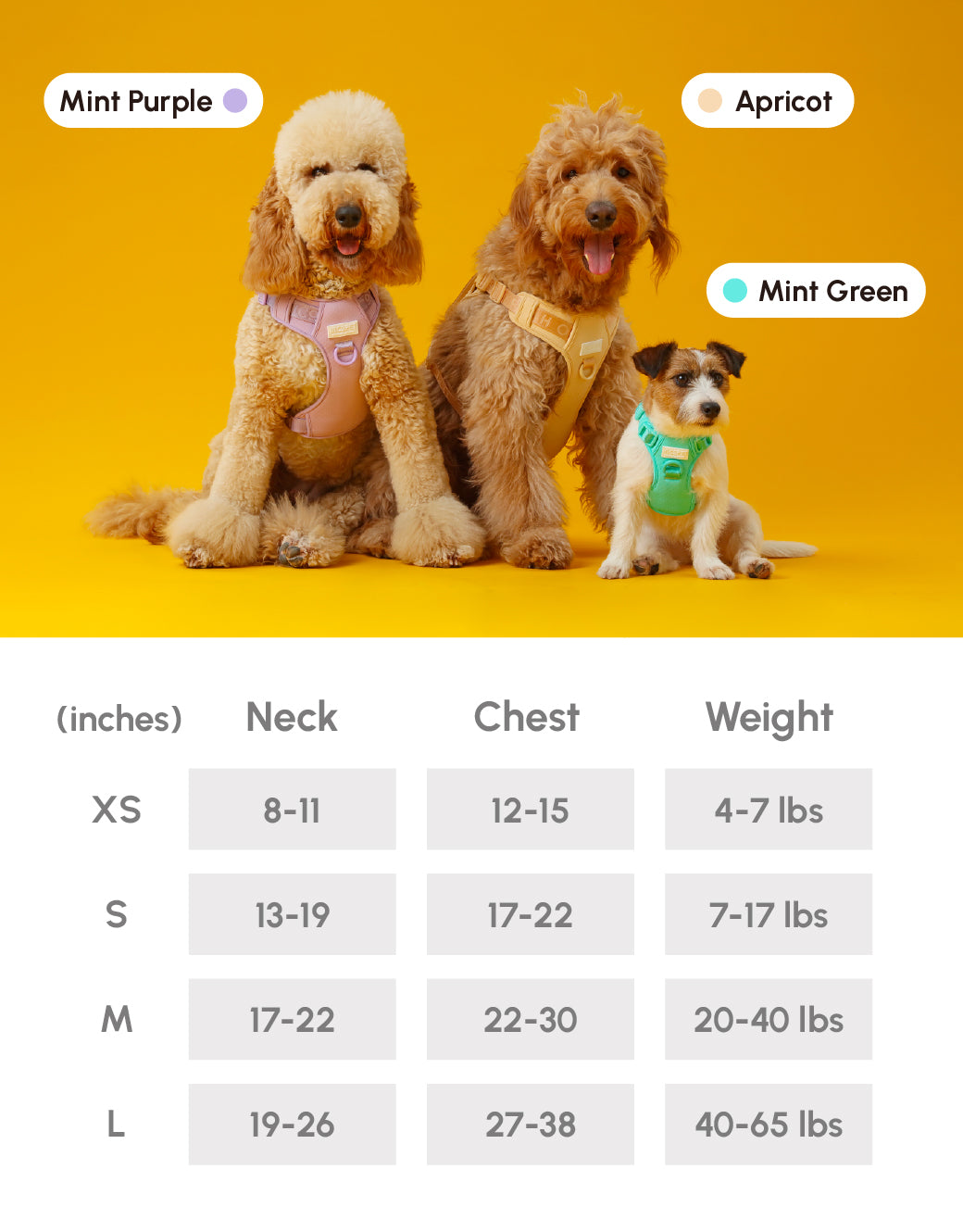 No Pull Harness Mint Green