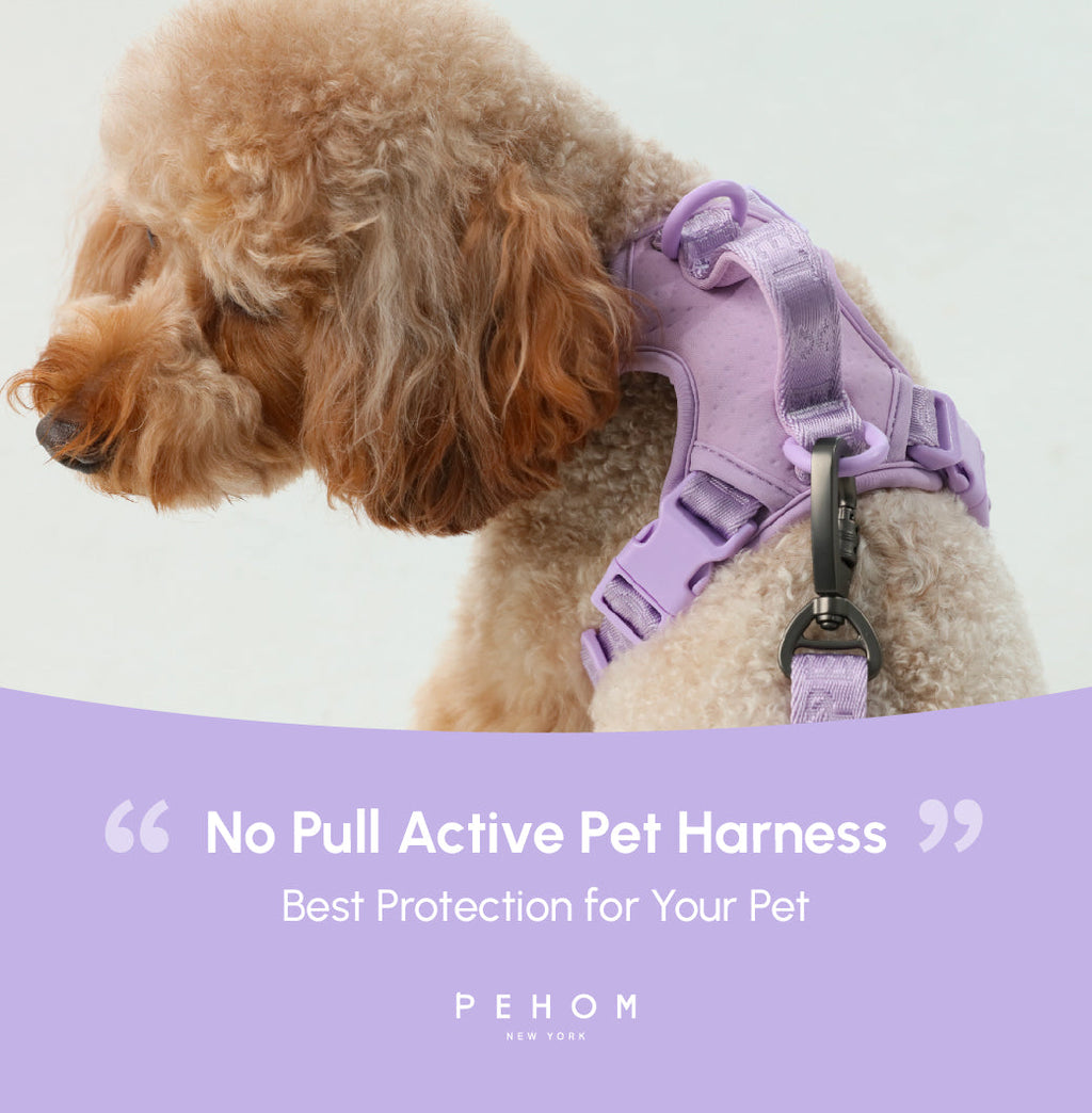 No Pull Dog Harness - MINT PURPLE