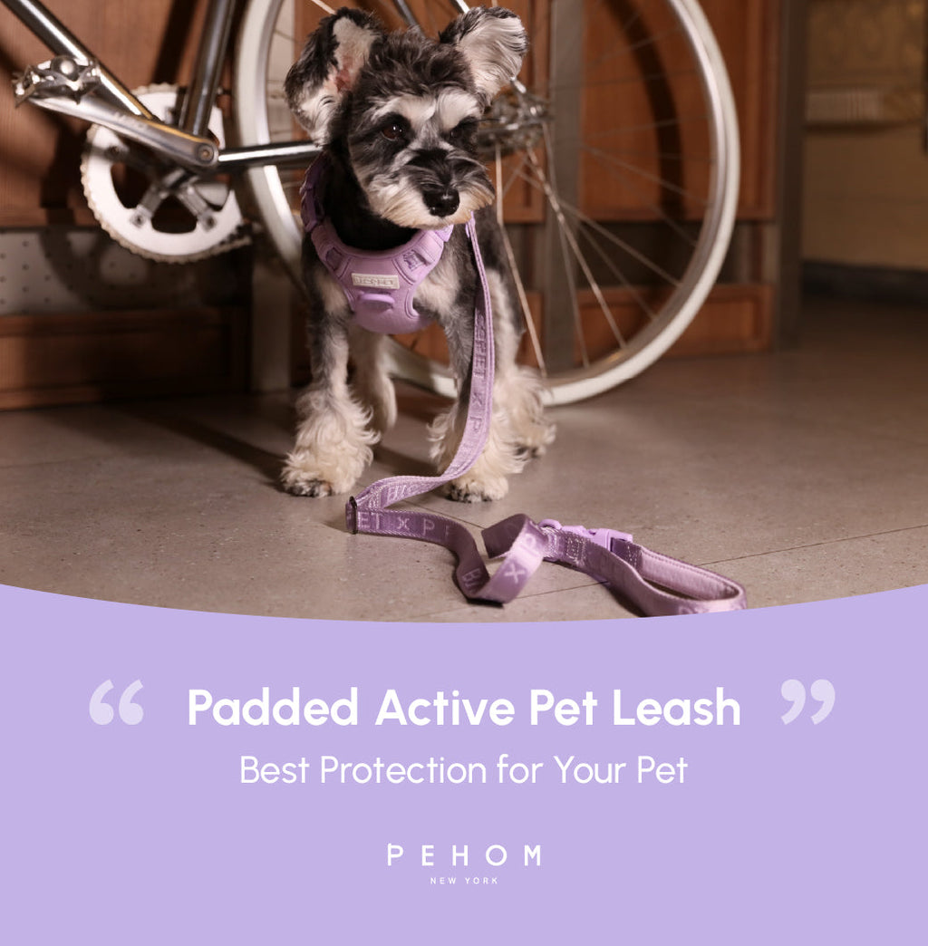 Padded Leash Mint Purple