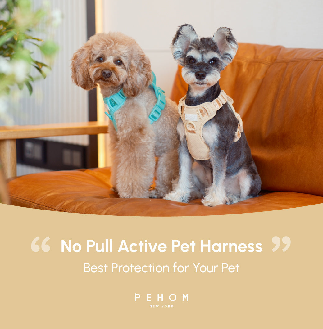 No Pull Dog Harness- APRICOT