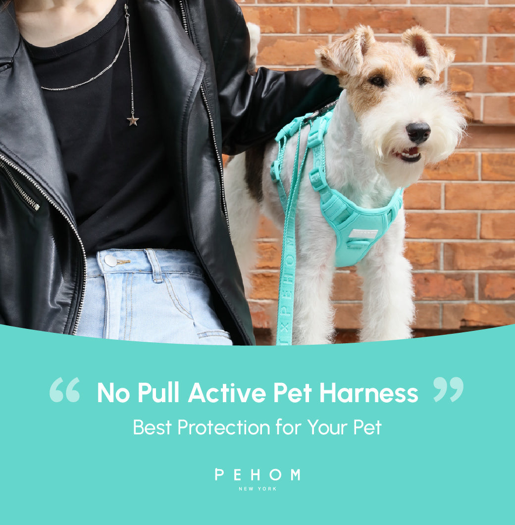 No Pull Harness Mint Green