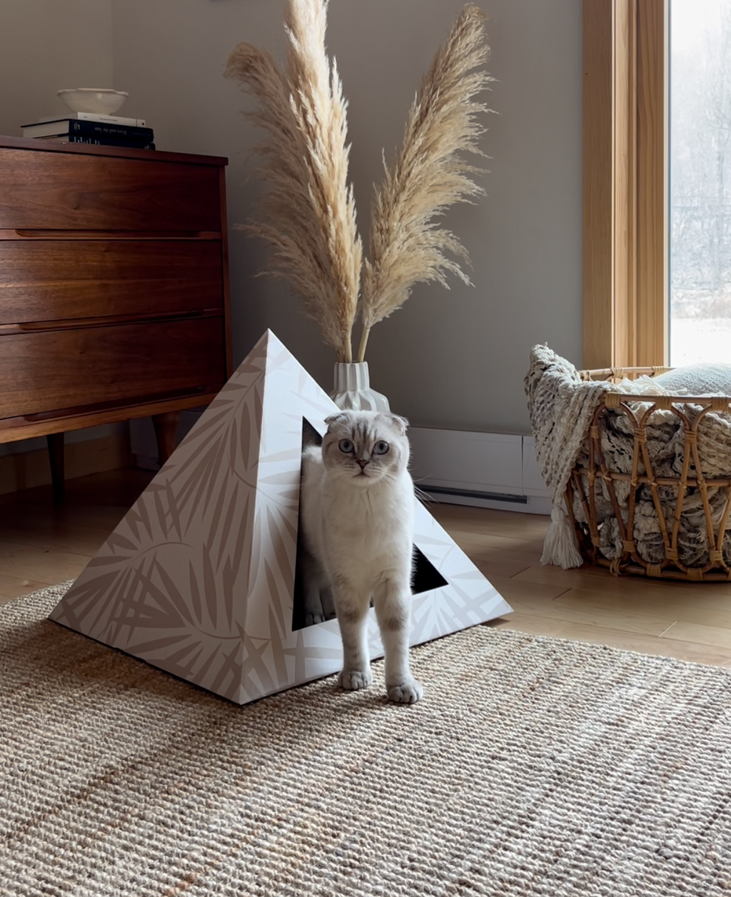 Kitty Kardboard 'Neutral Palm'