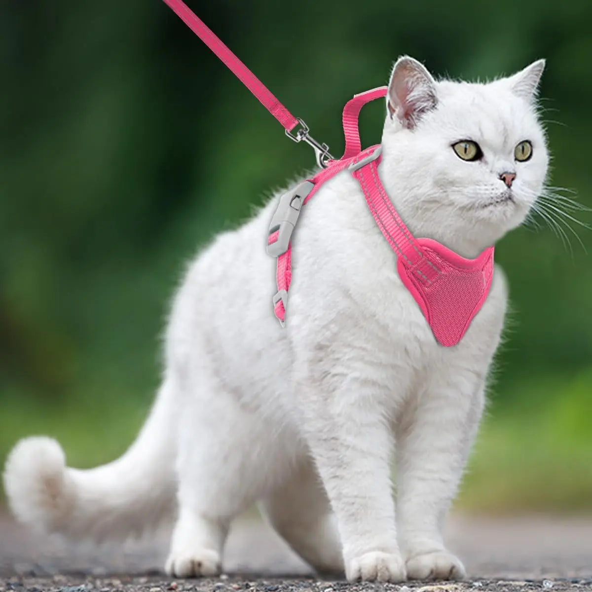 Escape Proof Cat Harness