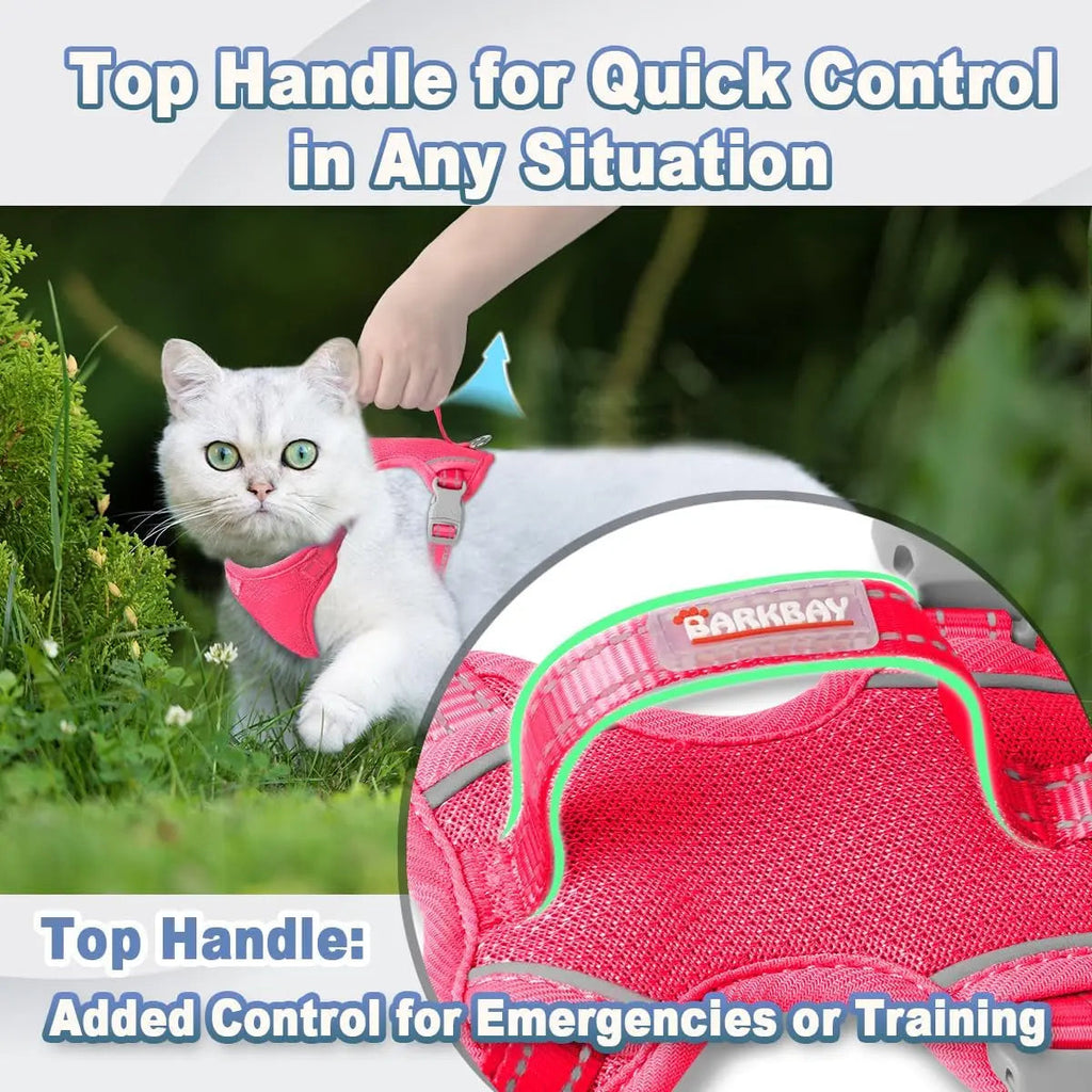 Escape Proof Cat Harness
