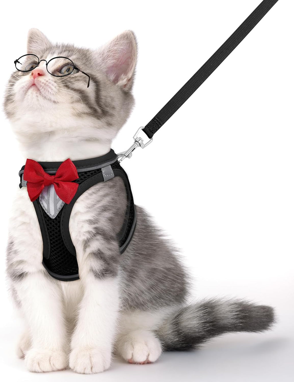 Escape Proof Cat Harness