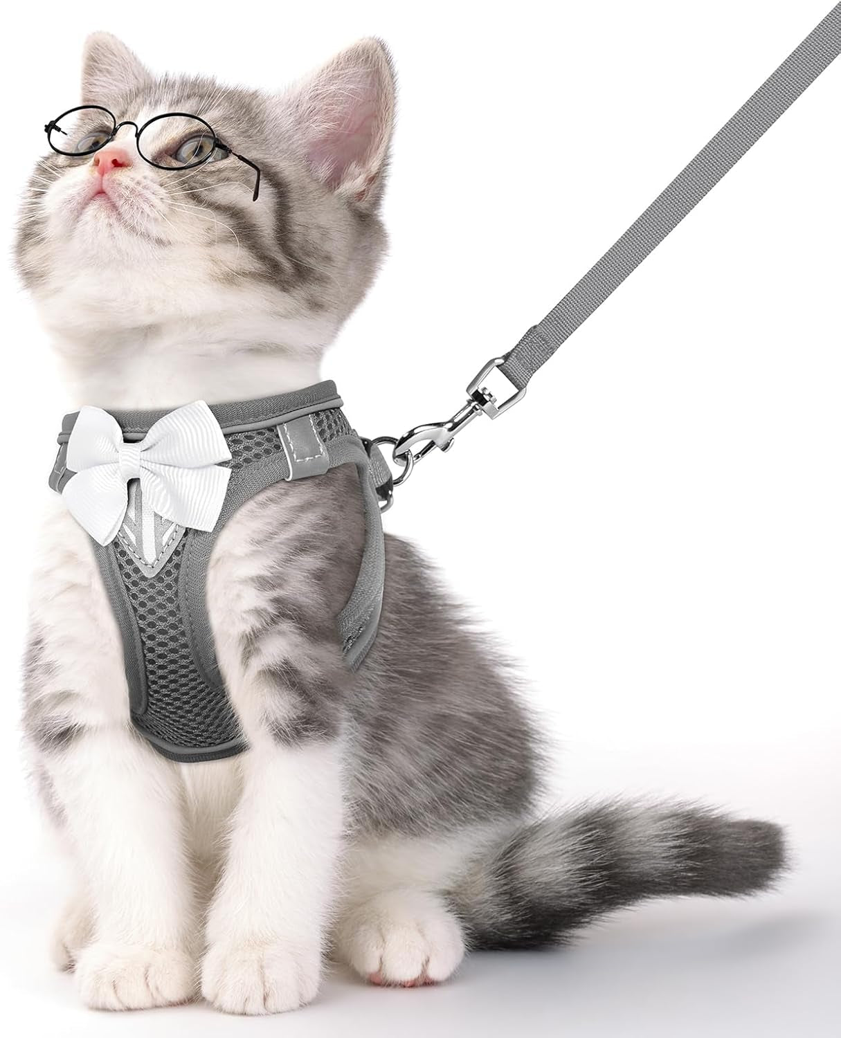Escape Proof Cat Harness