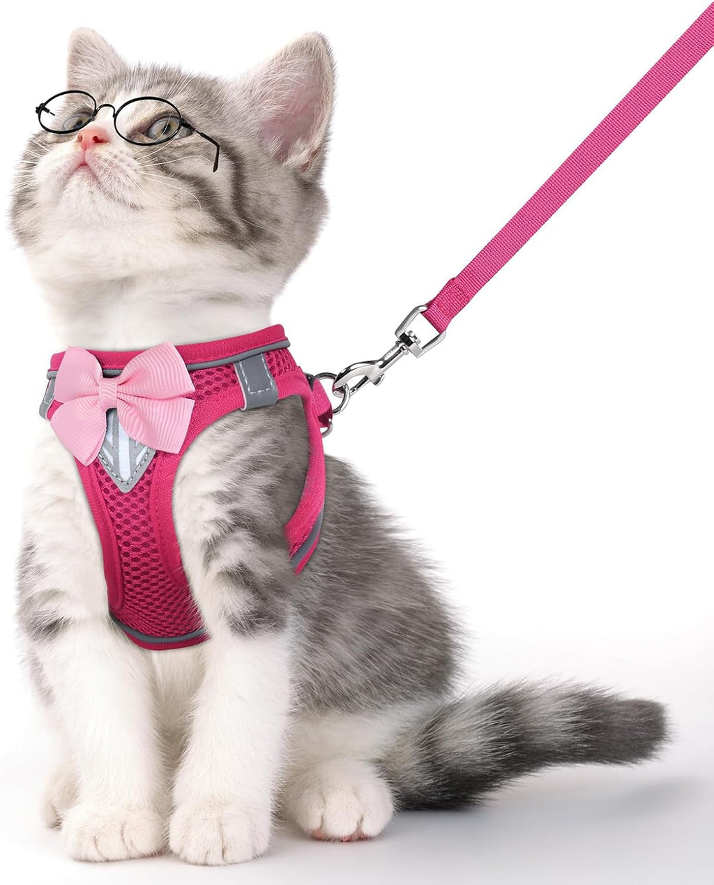 Escape Proof Cat Harness