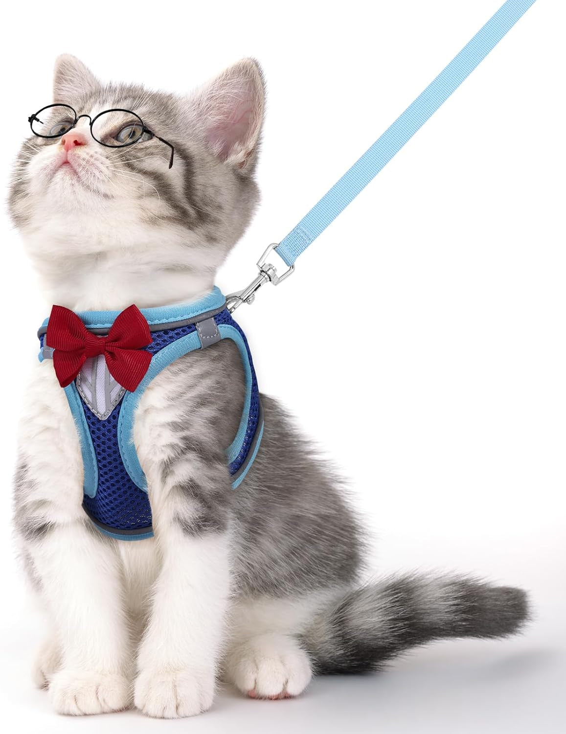 Escape Proof Cat Harness