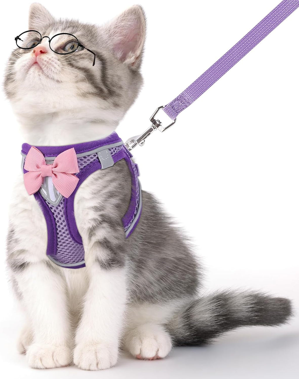 Escape Proof Cat Harness