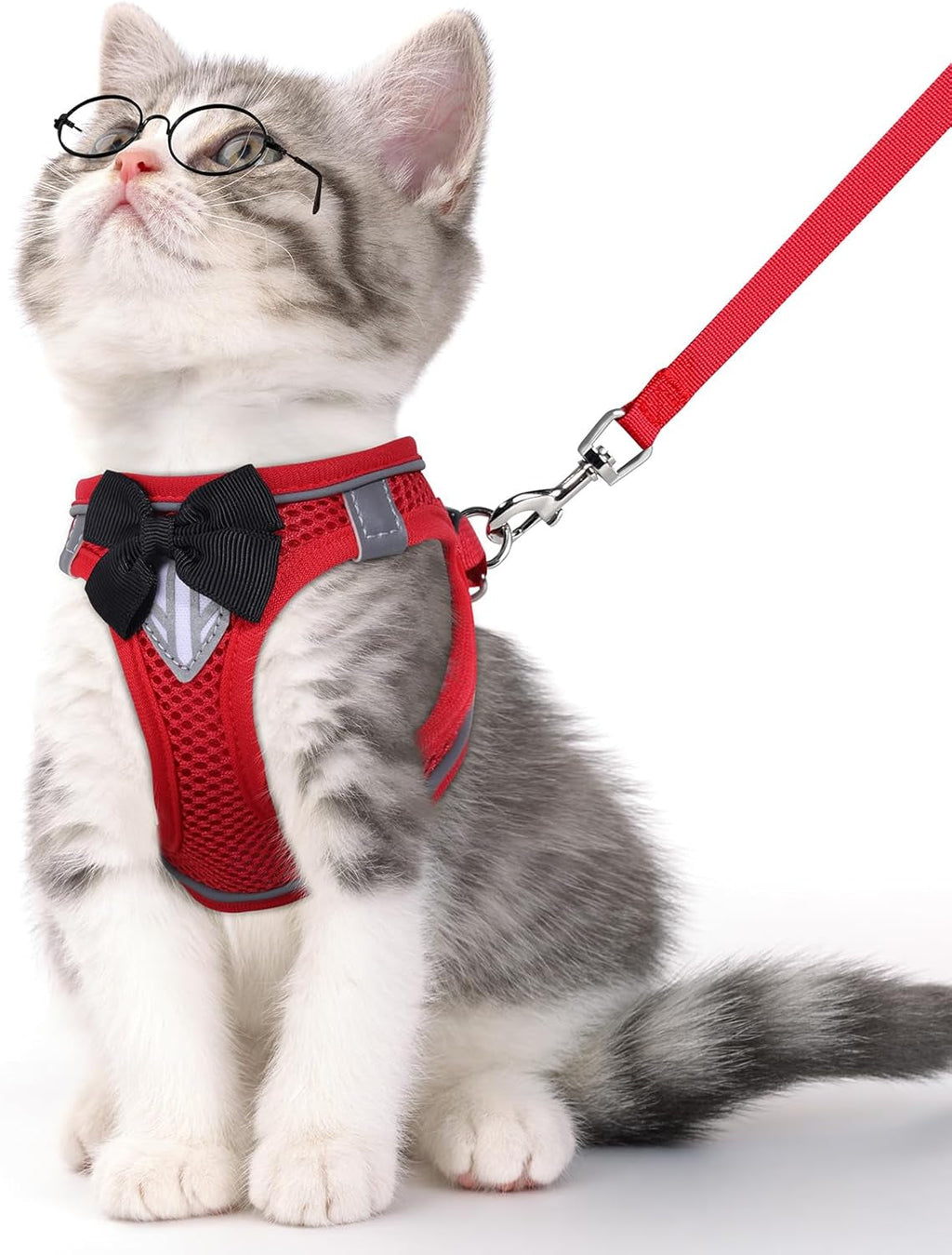 Escape Proof Cat Harness