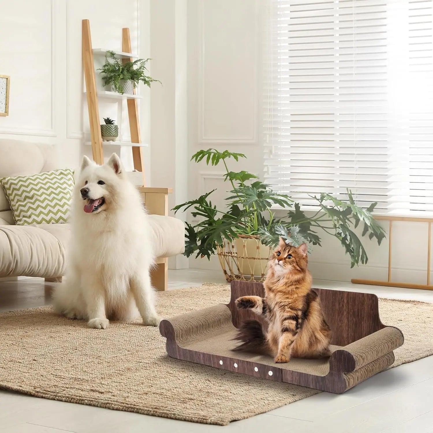 Extra Large Cat Scratcher Bed