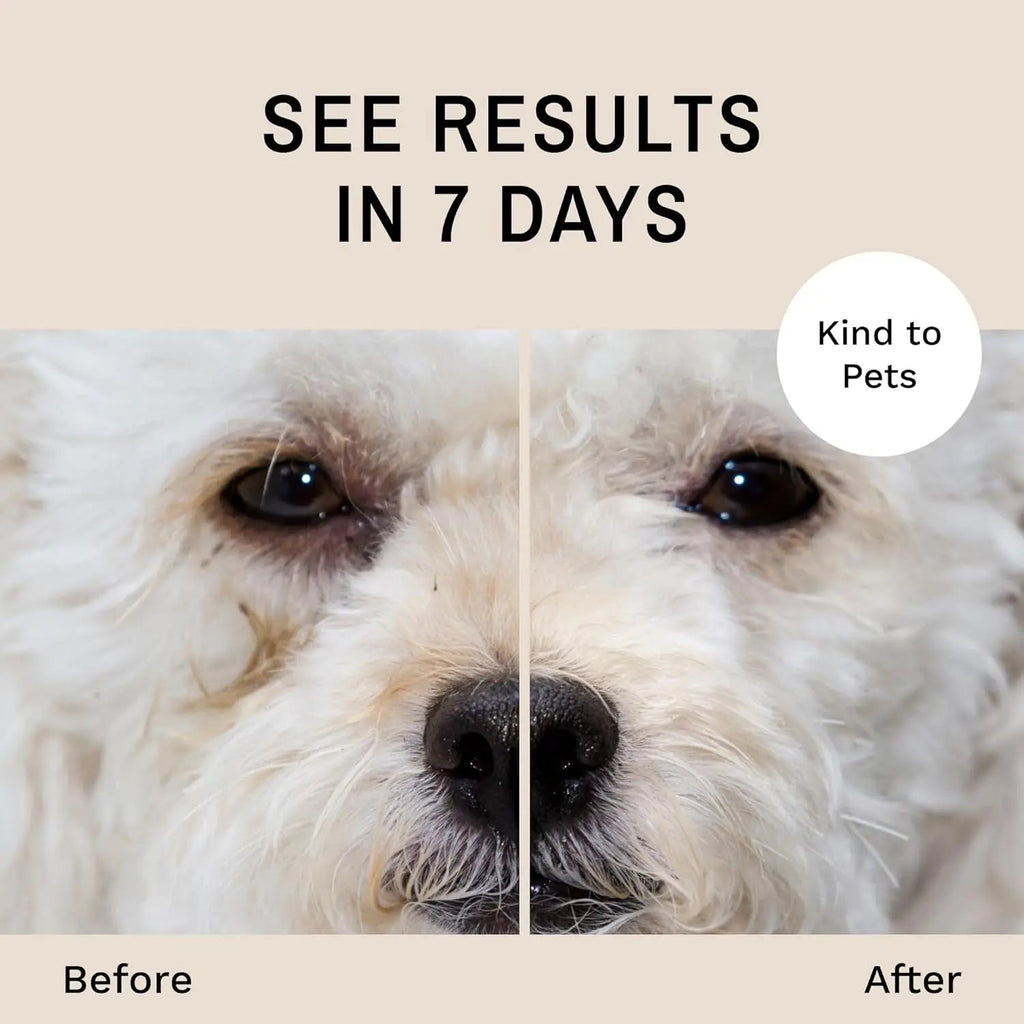 Eye Envy Dog Tear Stain Remover Kit