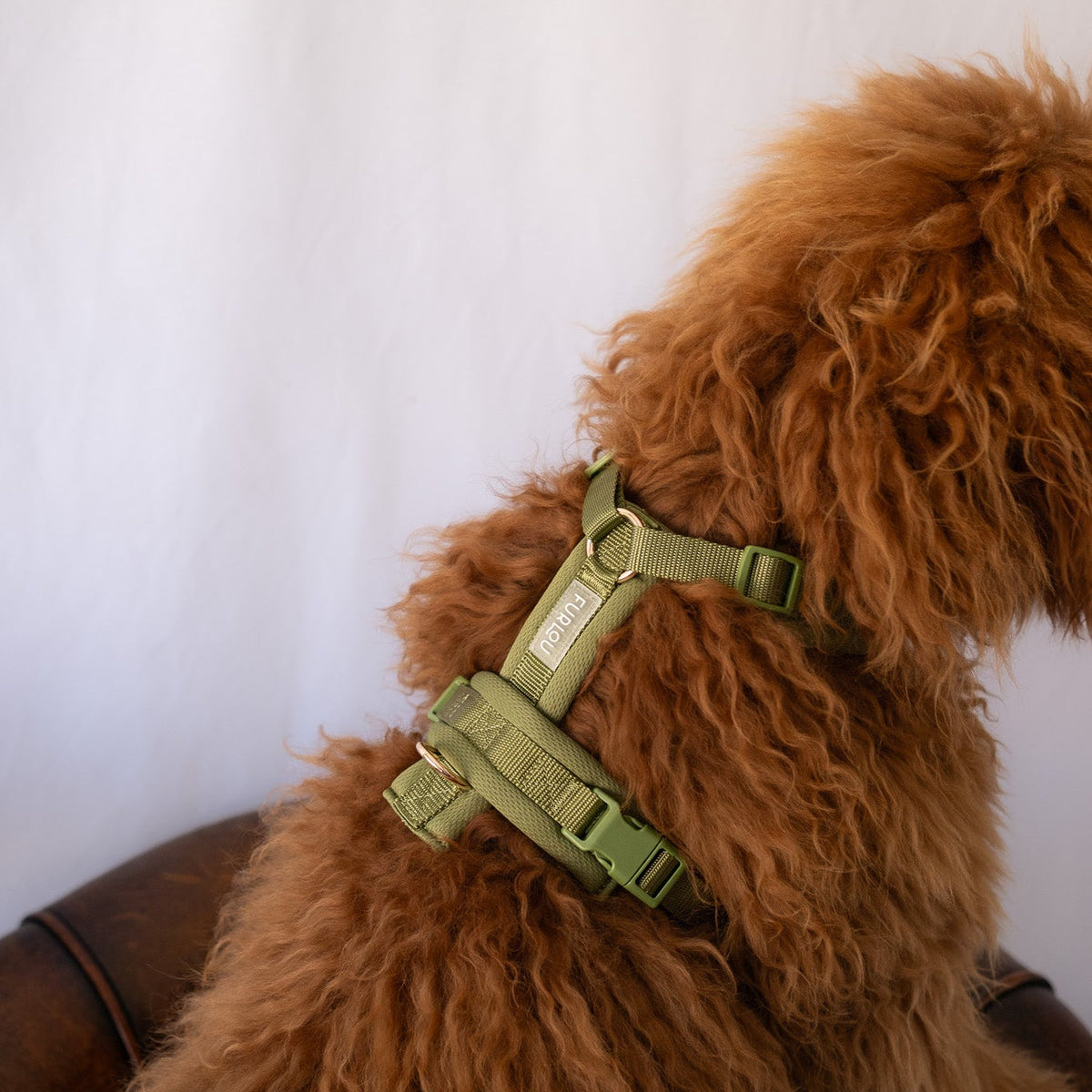 Furlou Olive Green Harness