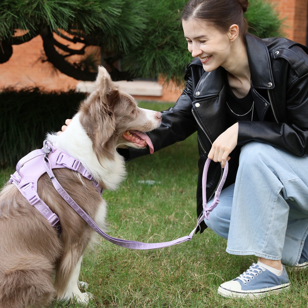 Padded Leash Mint Purple