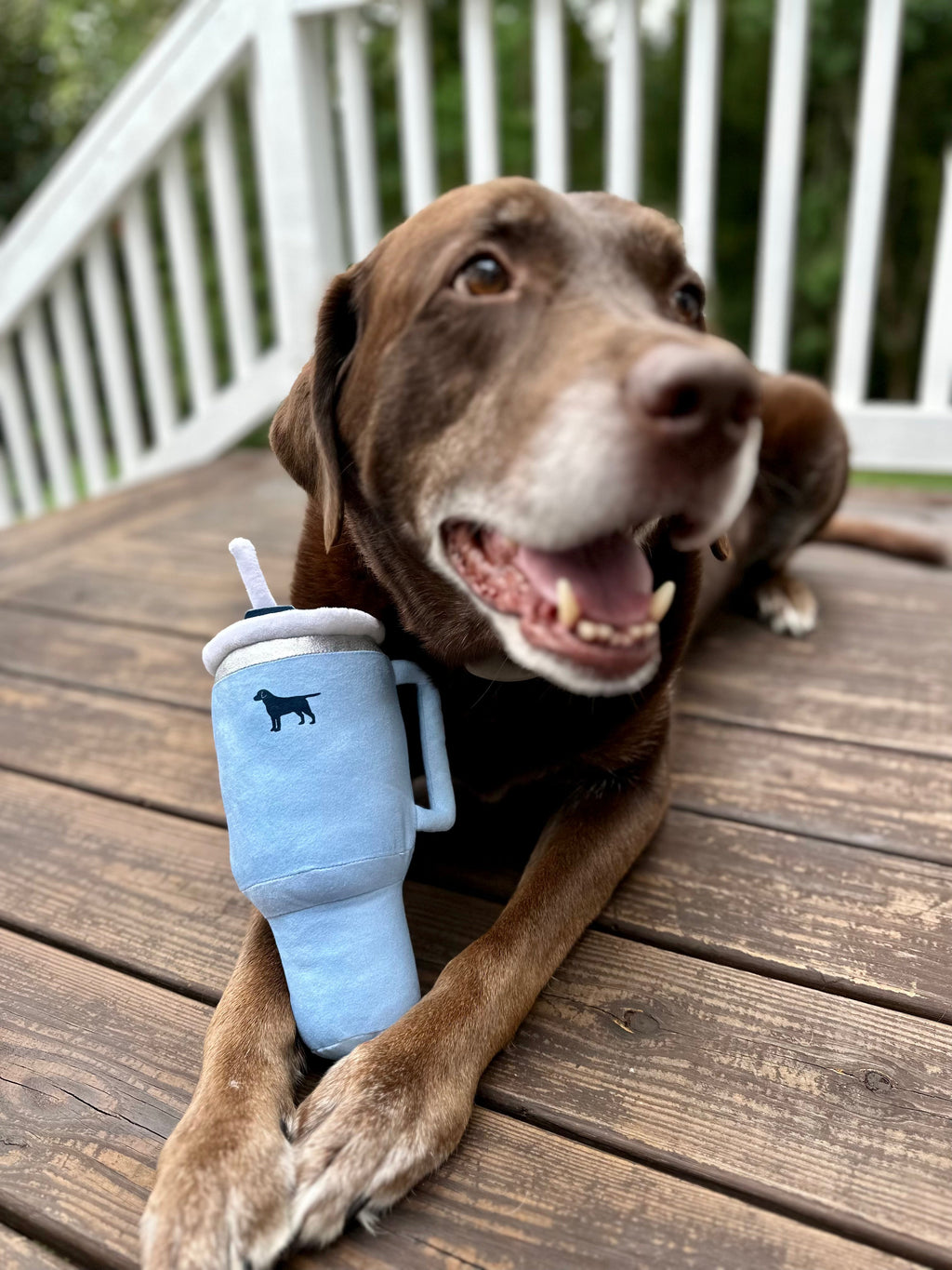 Tumbler Plush Squeaky Dog Toy