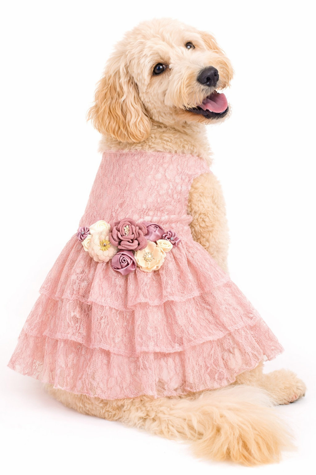 Formal Dress | The Josefina