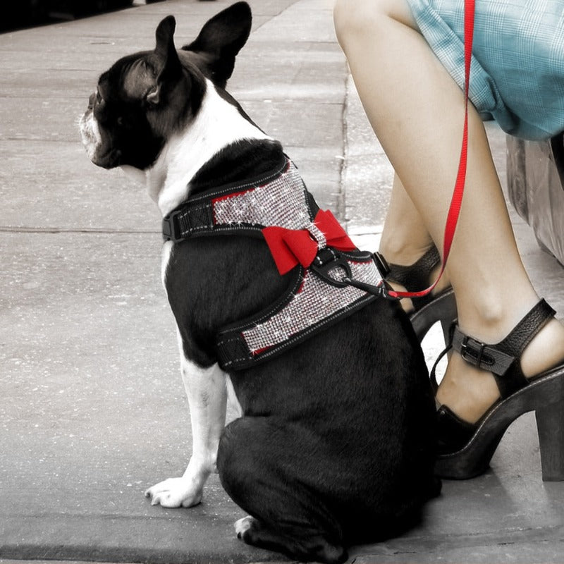 Reflective Bling Rhinestone Bow Dog Harness