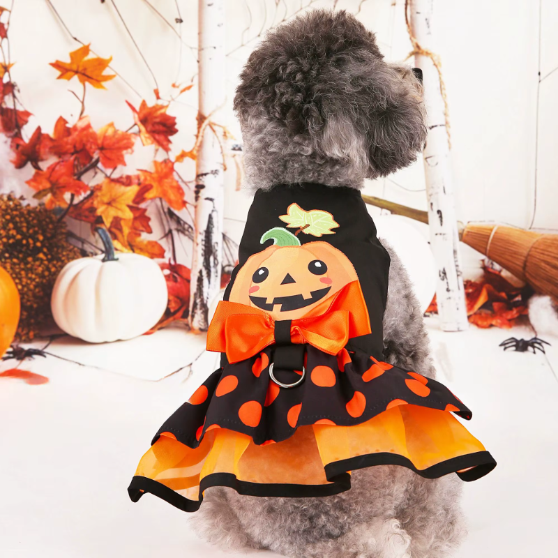Halloween 🎃 Dress