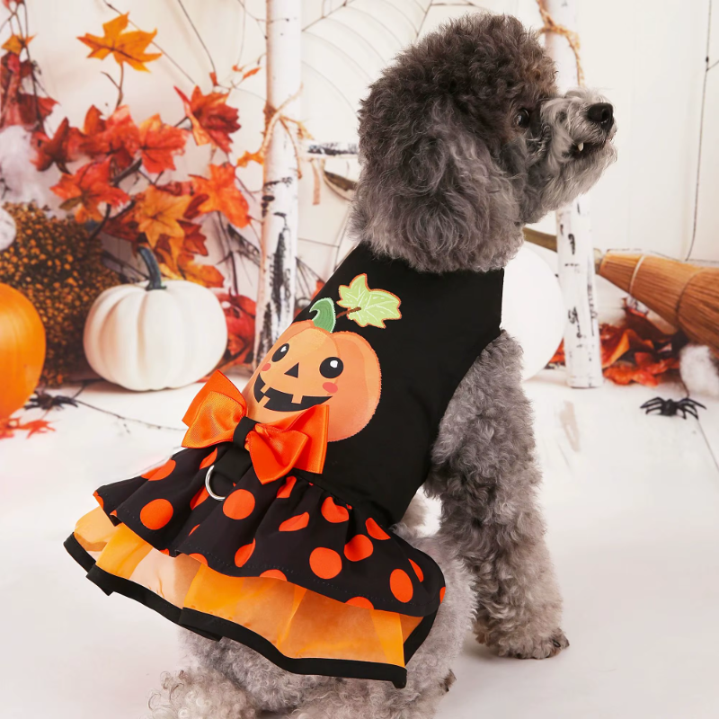 Halloween 🎃 Dress