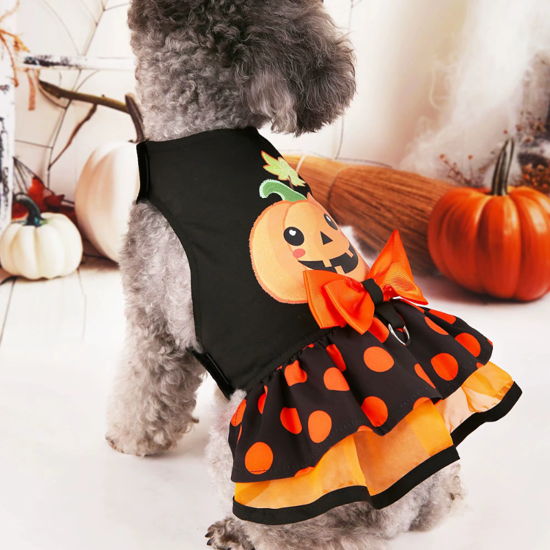 Halloween 🎃 Dress