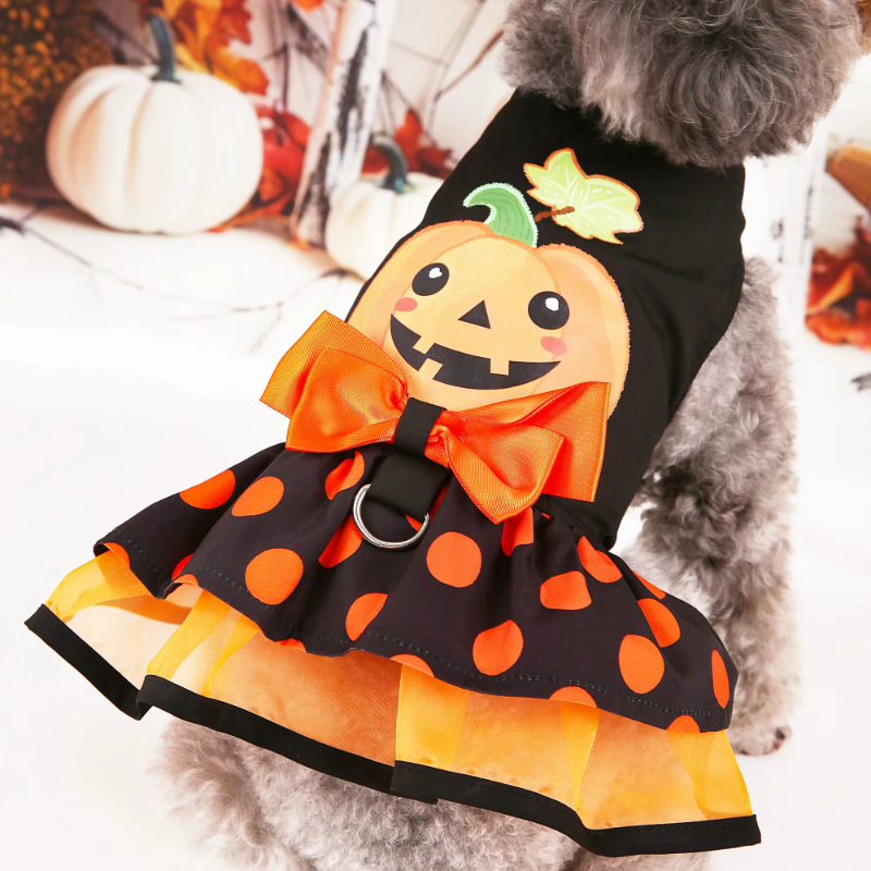 Halloween 🎃 Dress