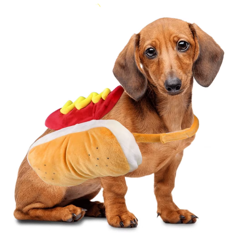 Halloween Hot Dog Costume