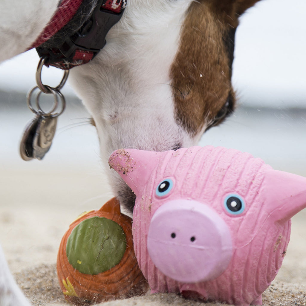 Hamlet Pig Ruff-Tex® Latex Ball Dog Toy