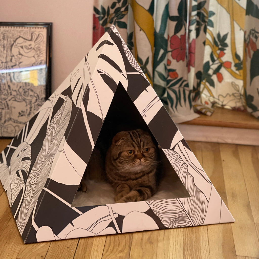 Kitty Kardboard 'Dark Paradise'