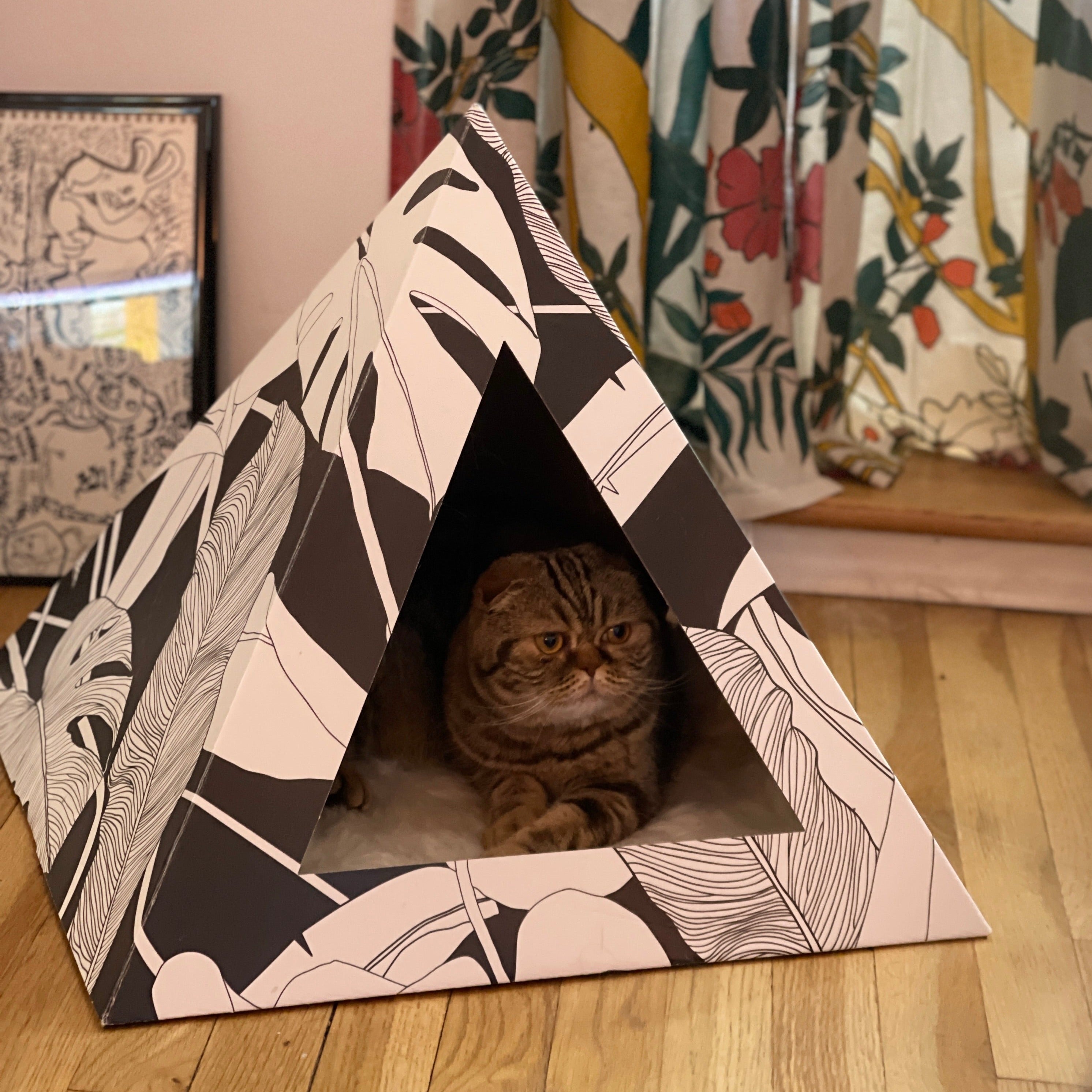 Kitty Kardboard 'Dark Paradise'