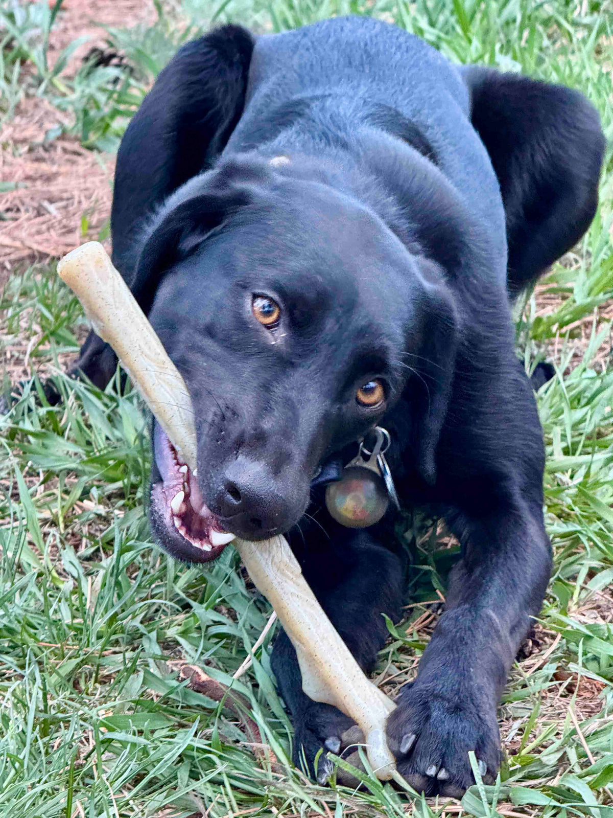 Durable Chew Stick