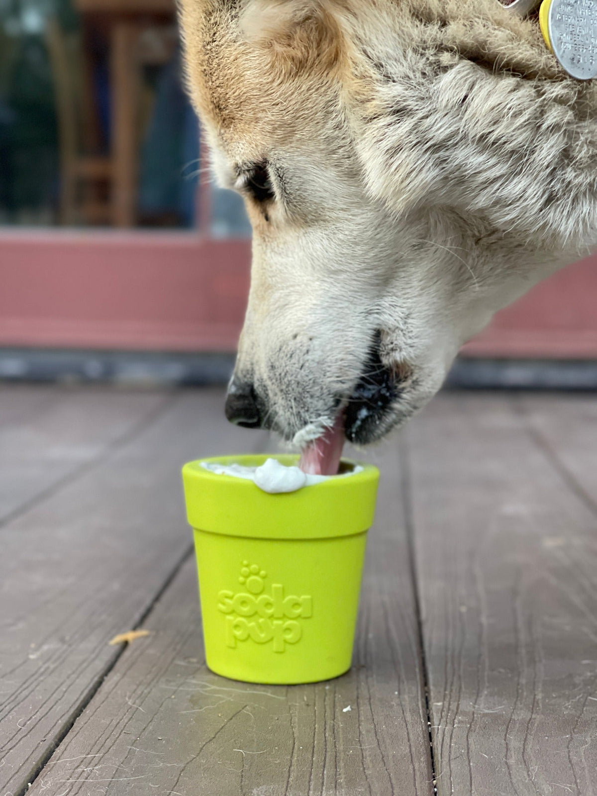 Flowerpot Treat Dispenser
