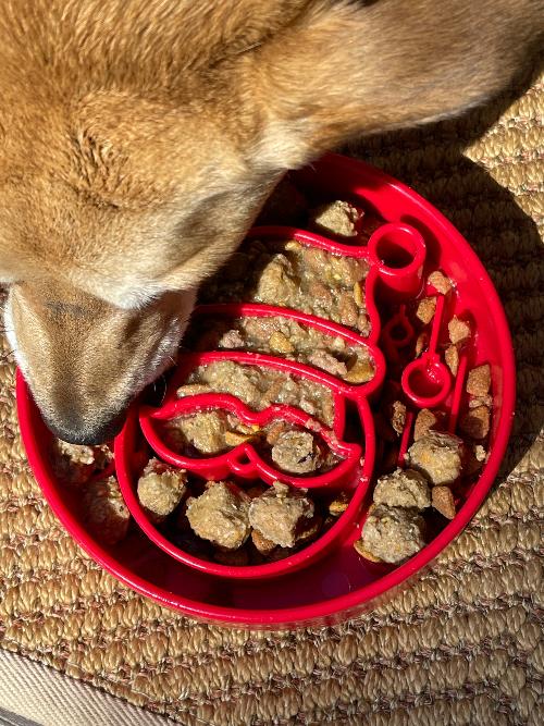 Santa Slow Feeder