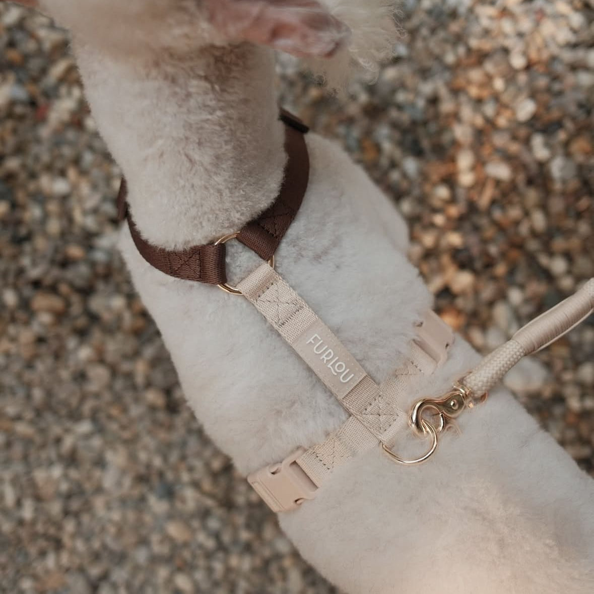 Brown and Tan - Dog Harness