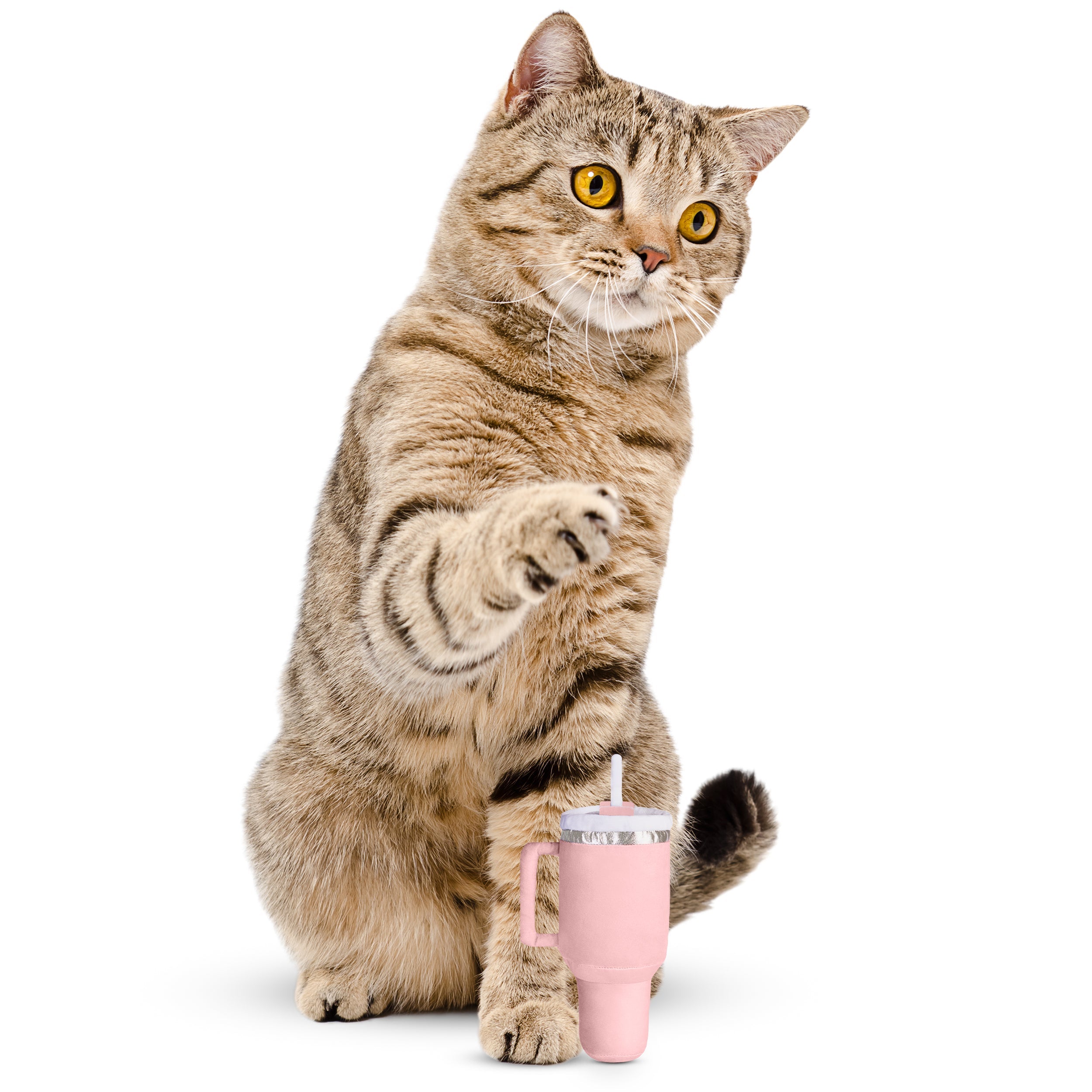 Cat Tumbler Toy with Catnip